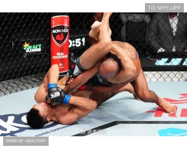 裁判终止比赛标准讨论：佩雷拉TKO胜引技术细节热议